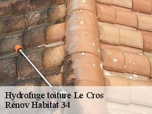 Hydrofuge toiture  le-cros-34520 Rénov Habitat 34 