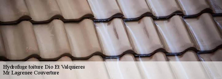 Hydrofuge toiture 34650