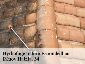 Hydrofuge toiture  espondeilhan-34290 Rénov Habitat 34 