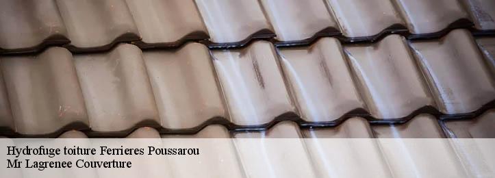 Hydrofuge toiture  34360