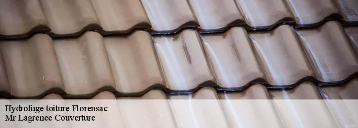 Hydrofuge toiture 34510