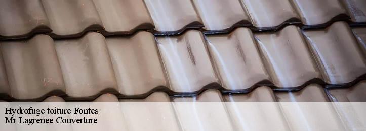 Hydrofuge toiture  34320