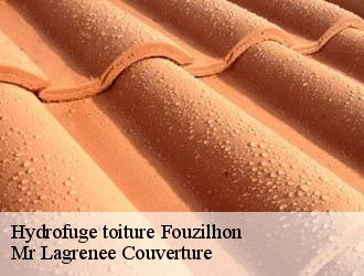 Hydrofuge toiture fouzilhon-34480 Mr Lagrenee Couverture