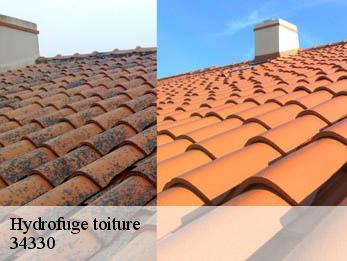 Hydrofuge toiture  34330