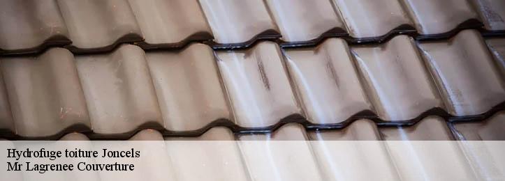 Hydrofuge toiture  34650