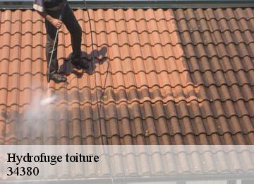 Hydrofuge toiture 34380