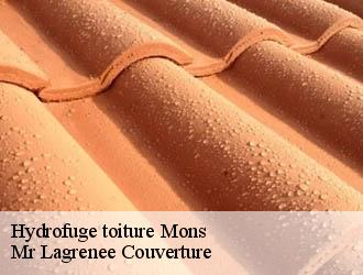 Hydrofuge toiture mons-34390 Mr Lagrenee Couverture