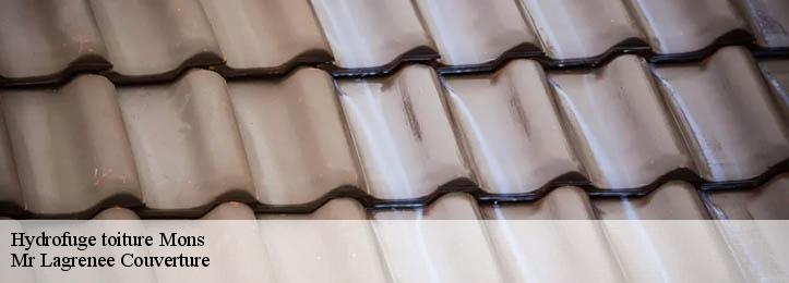 Hydrofuge toiture 34390