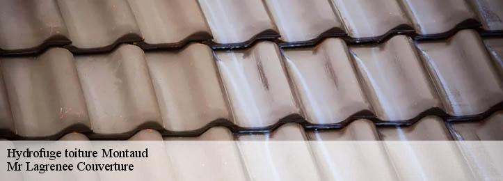 Hydrofuge toiture 34160