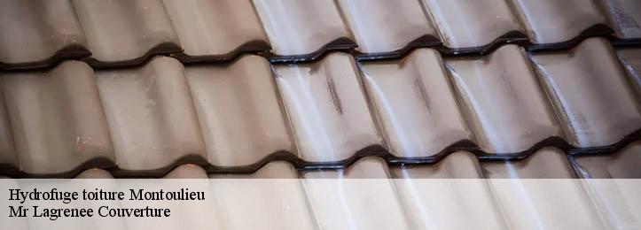 Hydrofuge toiture 34190