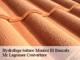 Hydrofuge toiture  moules-et-baucels-34190 Mr Lagrenee Couverture