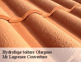 Hydrofuge toiture olargues-34390 Mr Lagrenee Couverture