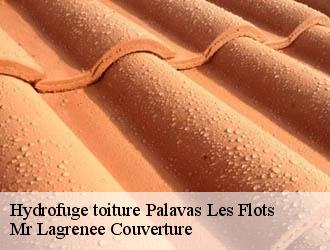 Hydrofuge toiture palavas-les-flots-34250 Mr Lagrenee Couverture