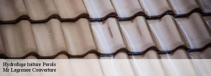 Hydrofuge toiture 34470