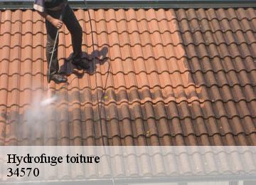 Hydrofuge toiture 34570