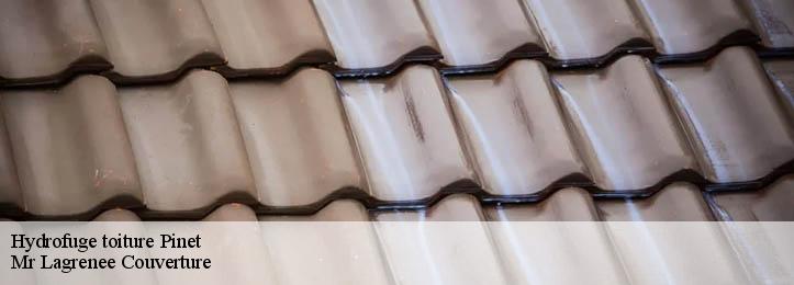 Hydrofuge toiture 34850