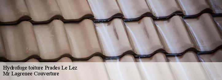 Hydrofuge toiture 34730