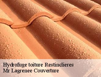 Hydrofuge toiture restinclieres-34160 Mr Lagrenee Couverture