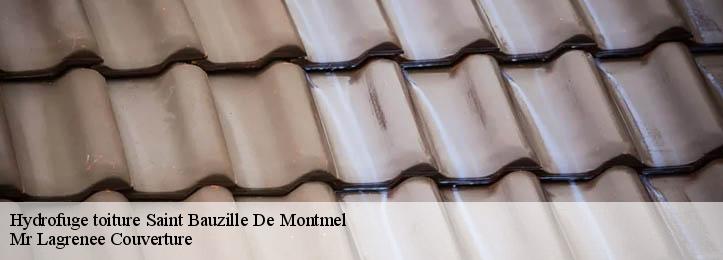 Hydrofuge toiture  34160