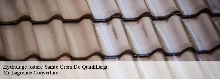 Hydrofuge toiture 34270