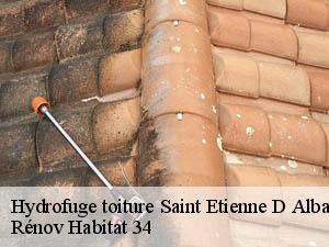 Hydrofuge toiture  saint-etienne-d-albagnan-34390 Rénov Habitat 34 