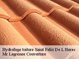 Hydrofuge toiture saint-felix-de-l-heras-34520 Mr Lagrenee Couverture