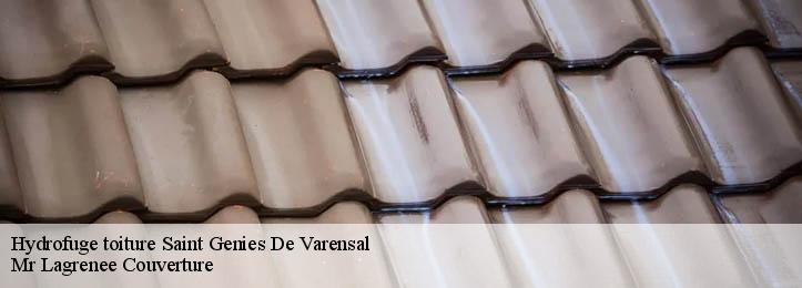 Hydrofuge toiture 34610