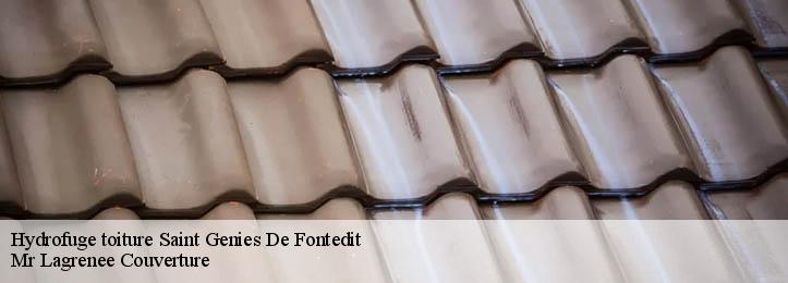 Hydrofuge toiture 34480