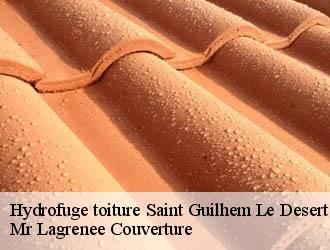 Hydrofuge toiture saint-guilhem-le-desert-34150 Mr Lagrenee Couverture