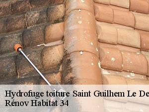 Hydrofuge toiture  saint-guilhem-le-desert-34150 Rénov Habitat 34 