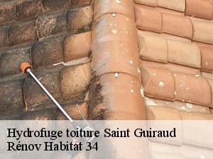 Hydrofuge toiture  saint-guiraud-34725 Rénov Habitat 34 