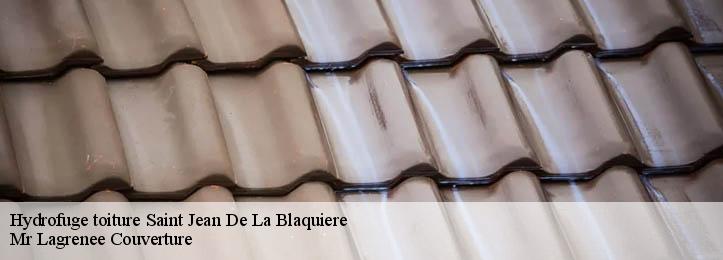 Hydrofuge toiture 34700