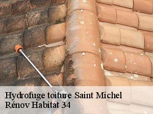Hydrofuge toiture  saint-michel-34520 Rénov Habitat 34 