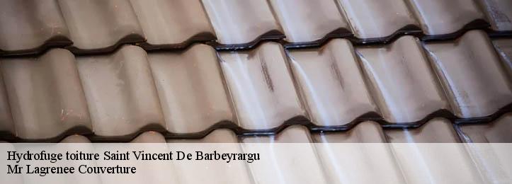 Hydrofuge toiture 34730
