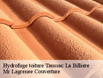 Hydrofuge toiture taussac-la-billiere-34600 Mr Lagrenee Couverture