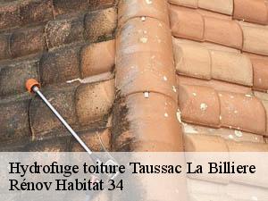 Hydrofuge toiture  taussac-la-billiere-34600 Rénov Habitat 34 