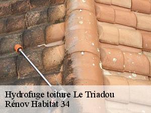 Hydrofuge toiture  le-triadou-34270 Rénov Habitat 34 