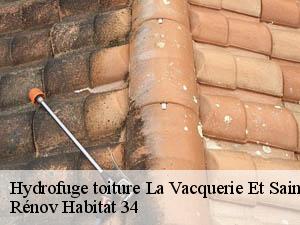 Hydrofuge toiture  la-vacquerie-et-saint-martin-34520 Rénov Habitat 34 