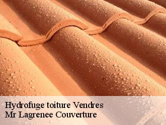 Hydrofuge toiture vendres-34350 Mr Lagrenee Couverture