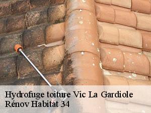 Hydrofuge toiture  vic-la-gardiole-34110 Rénov Habitat 34 