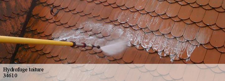 Hydrofuge toiture 34610