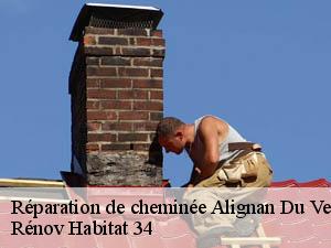 Réparation de cheminée  alignan-du-vent-34290 Rénov Habitat 34 