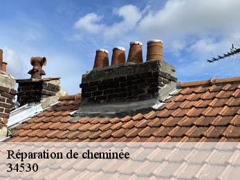 Réparation de cheminée 34530
