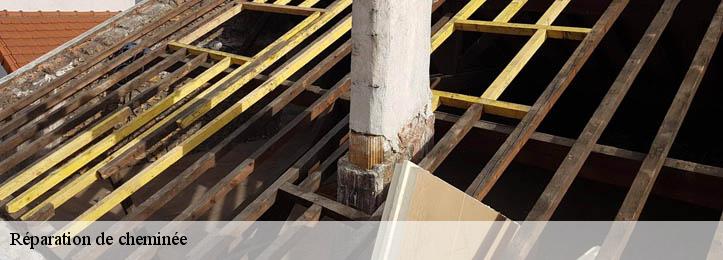Réparation de cheminée 34600