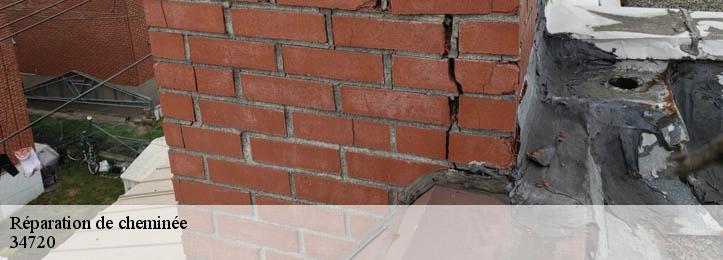 Réparation de cheminée 34720