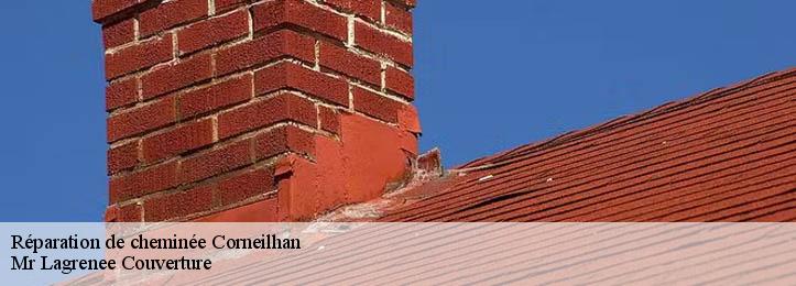 Réparation de cheminée 34490