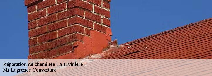 Réparation de cheminée 34210