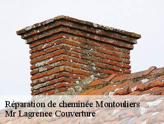 Réparation de cheminée montouliers-34310 Mr Lagrenee Couverture