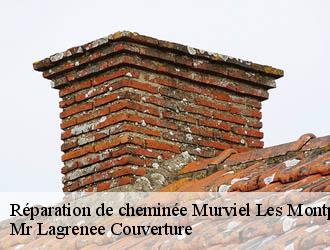 Réparation de cheminée  murviel-les-montpellier-34570 Mr Lagrenee Couverture