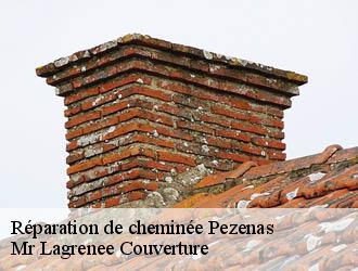 Réparation de cheminée pezenas-34120 Mr Lagrenee Couverture